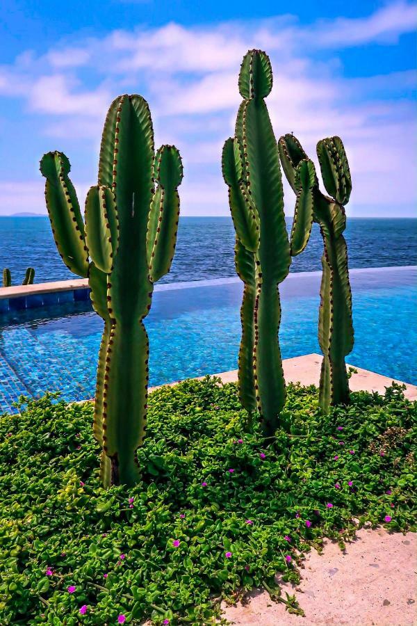 Casa Natalie Hotel Ensenada Kültér fotó